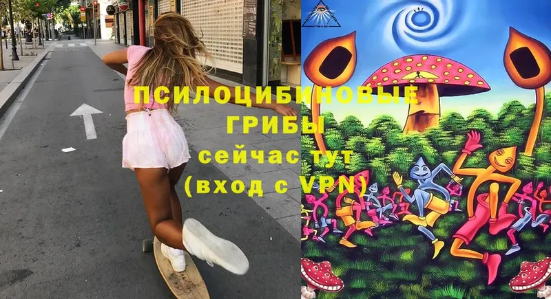 Псилоцибиновые грибы Cubensis Ярославль