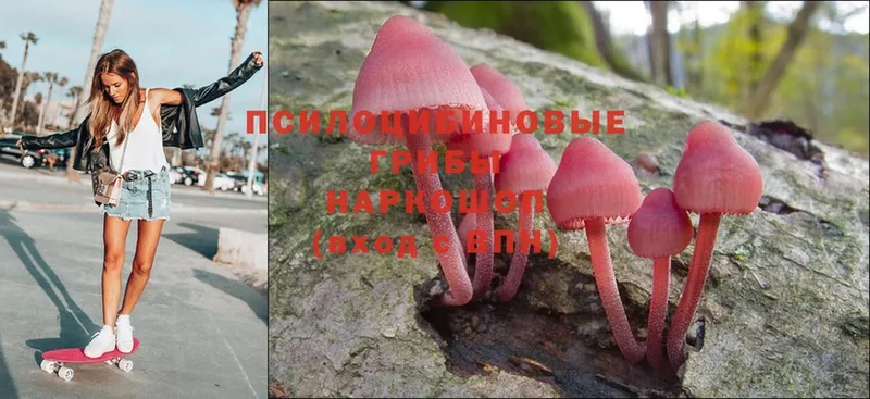 Псилоцибиновые грибы мухоморы  купить наркоту  mega ONION  Ярославль 