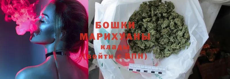 где можно купить   Ярославль  Бошки марихуана марихуана 